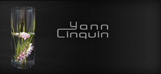 img-home-yanncinquin